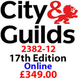 City and Guilds 2382-12 Logo